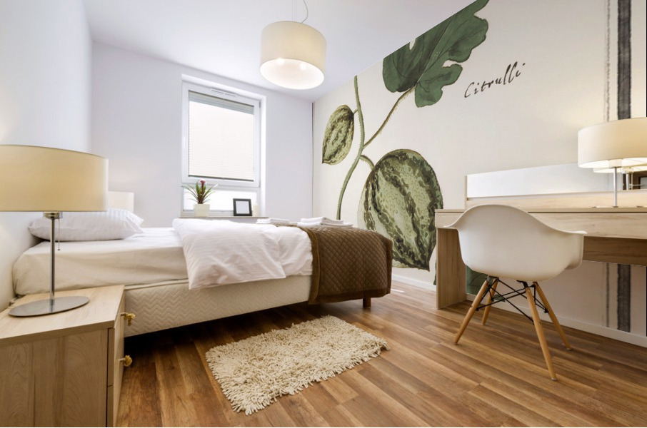 Watermelon in vintage style Mural print