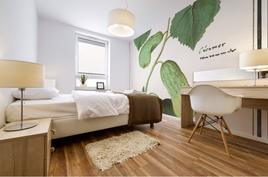 Cucumber in vintage style Impression murale