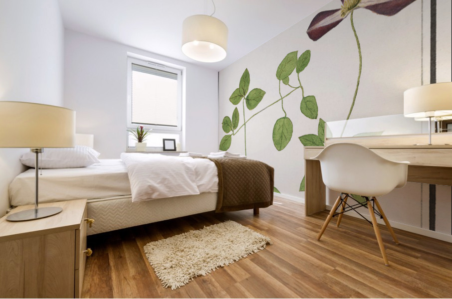 Moluccan cockatoo vintage style Mural print