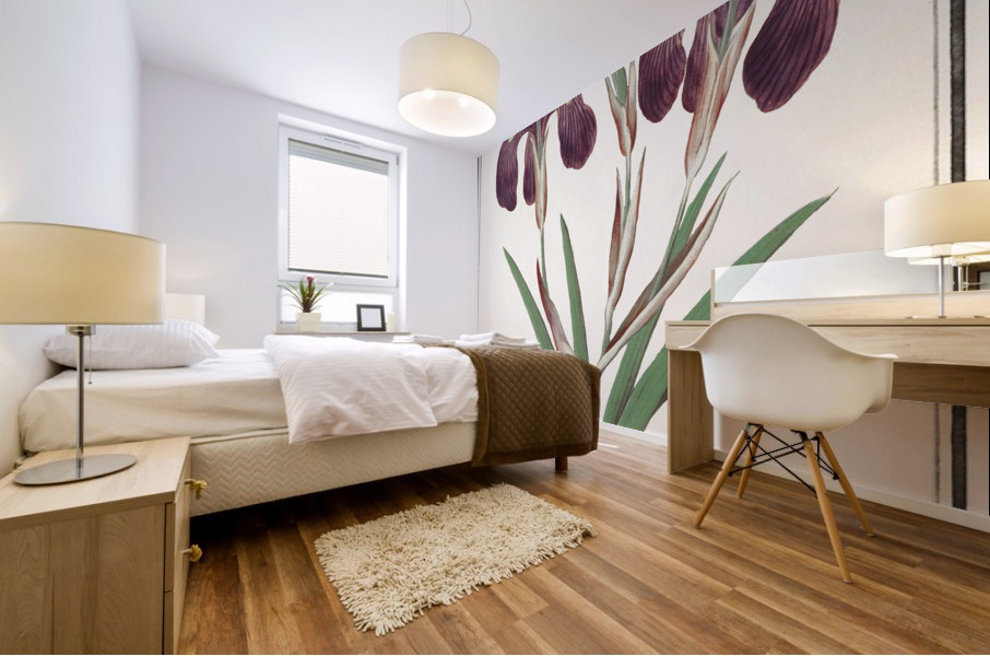 Purple iris in vintage style Mural print