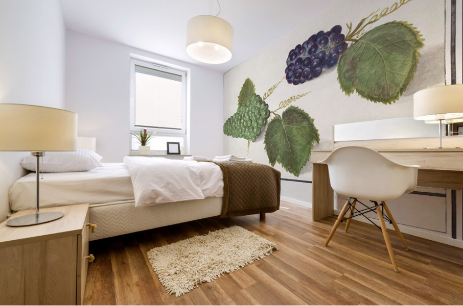 Grapes in vintage style Mural print