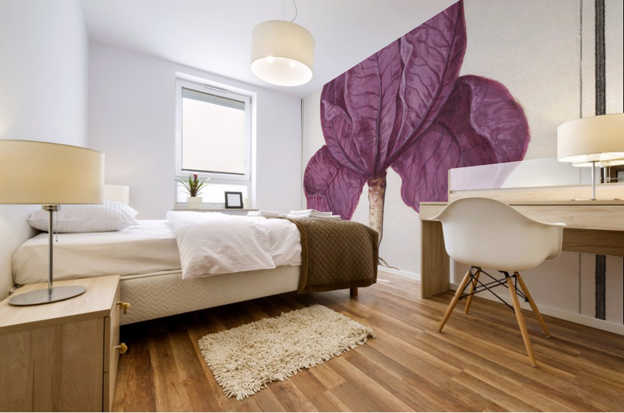 Red cabbage in vintage style Mural print