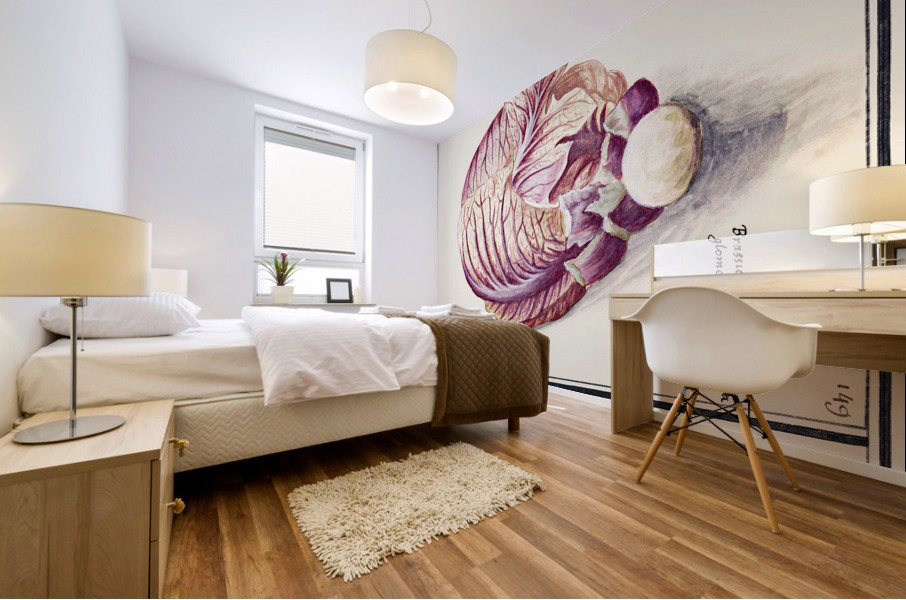 White cabbage in vintage style Mural print