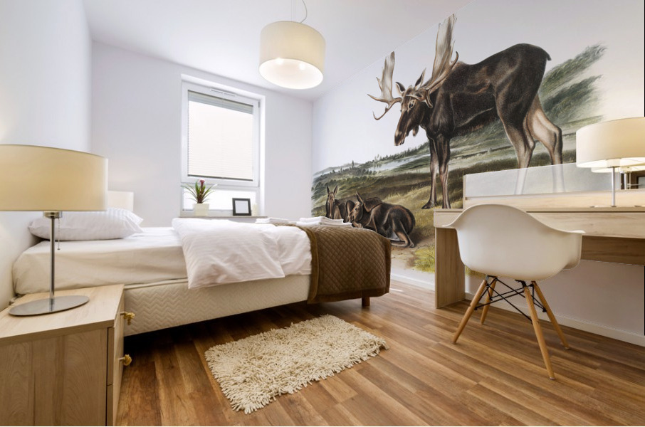 Moose Deer Servus alces  Mural print
