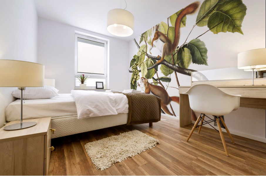 Bay Squirrel Chickaree Red Squirrel Sciurus Hudsonius  Mural print