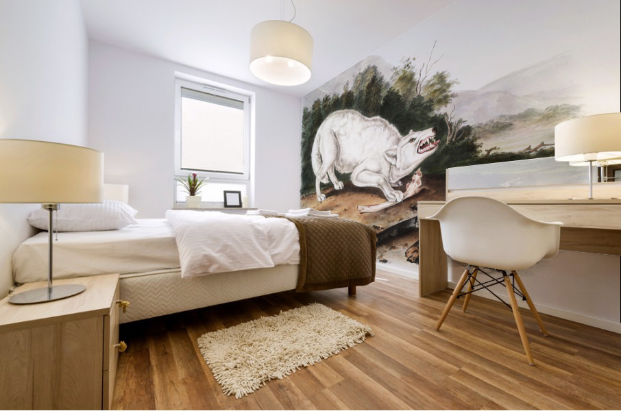 White American Wolf Canis lupus  Mural print