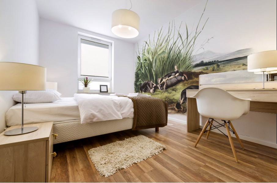 Shrew Mole Scalops Townsendii  Mural print