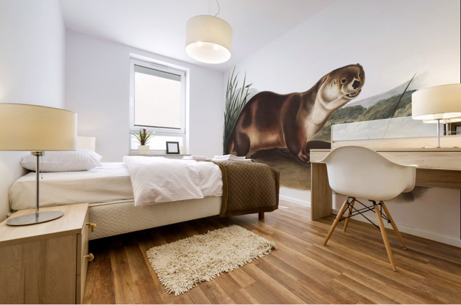 Canada Otter Lutra Canadensis  Mural print