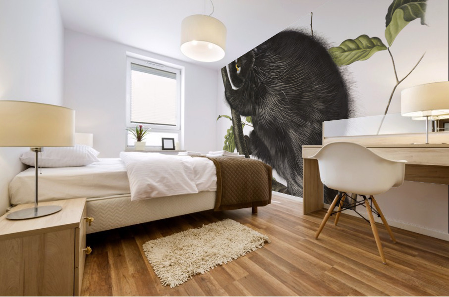 Canada Porcupine Nystrix dorsata  Mural print
