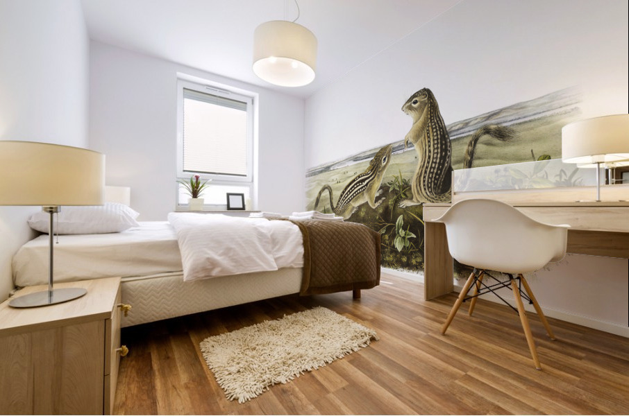 Leopard Spermophile Spermophilus tridecemlineatus  Mural print