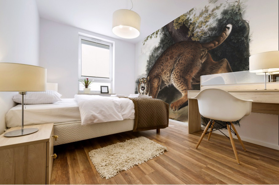 American wild cat Lynx rufus  Mural print