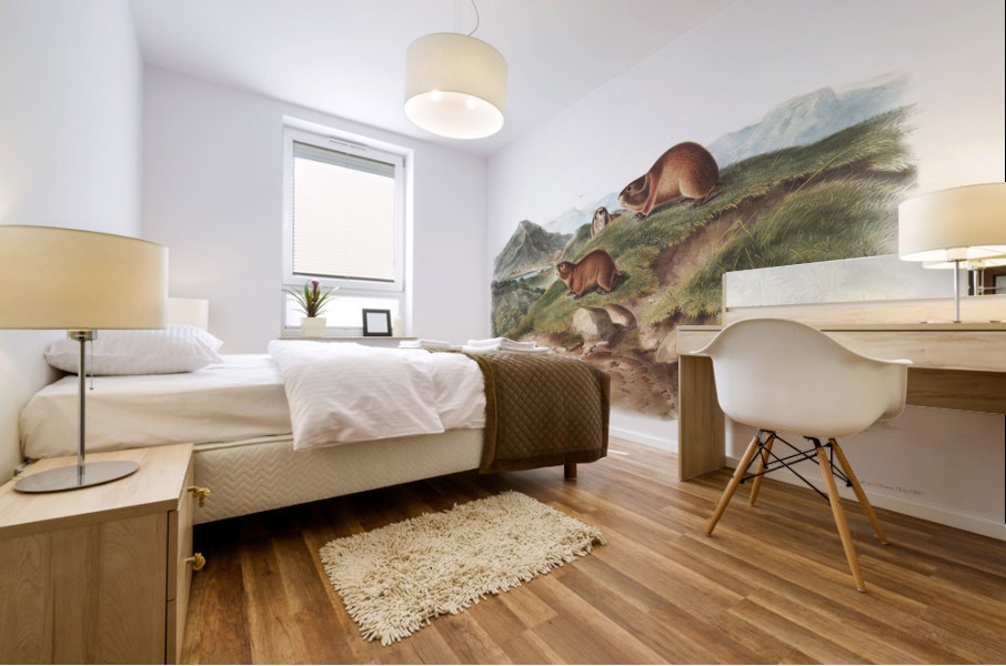 Tawny Lemming Georychus helvolus  Mural print