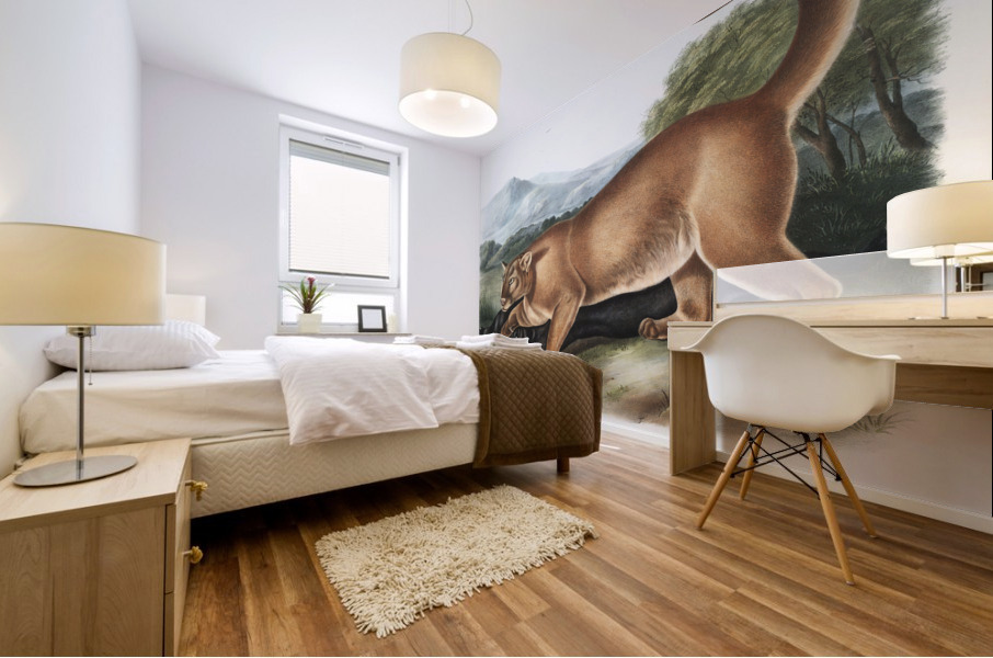Cougar Felis concolor  Mural print