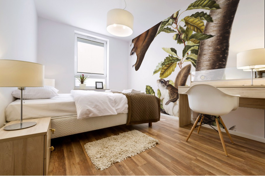 Cougar Felis concolor  Mural print