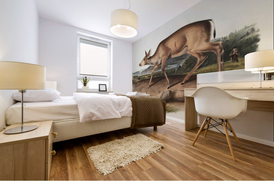 Black-tailed Deer Cervus macrotis  Mural print