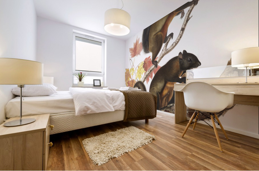 Long-haired Squirrel Sciurus longipilis  Mural print