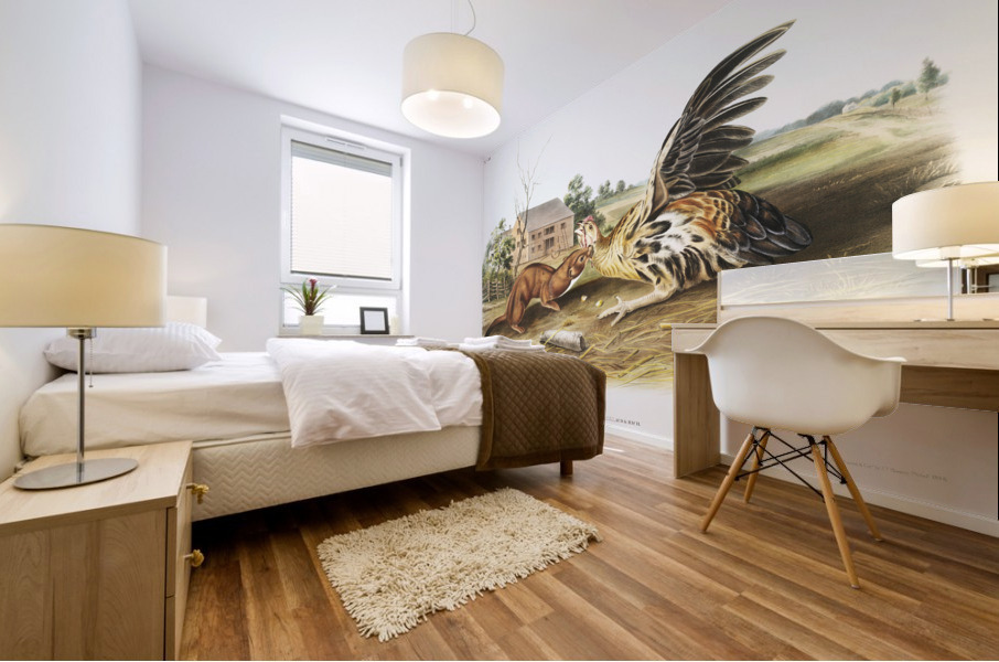 Tawny Weasel Putorius fuscus  Impression murale