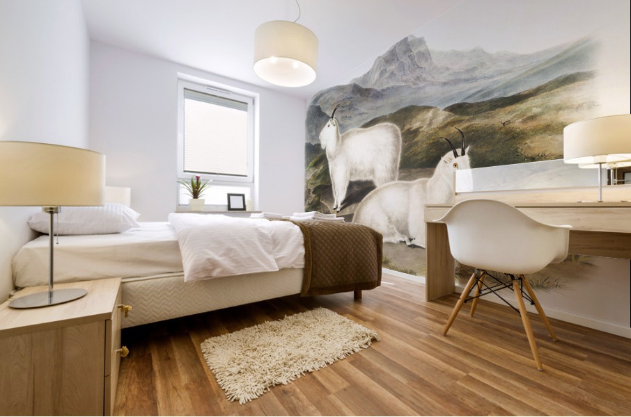 Tawny Weasel Putorius fuscus  Mural print