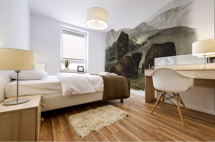 Californian Hare Lepus californicus  Mural print