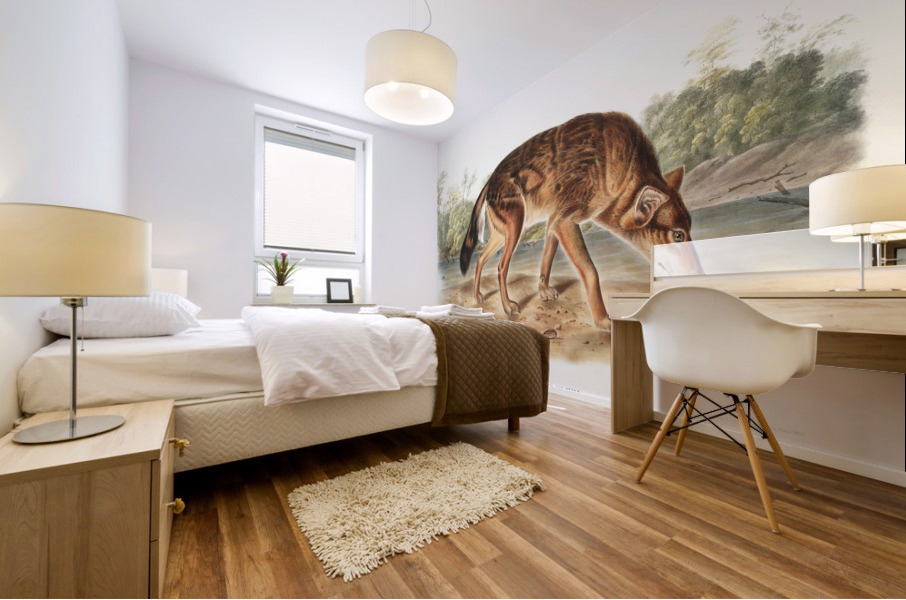 Red Texan Wolf Canis lupus  Mural print