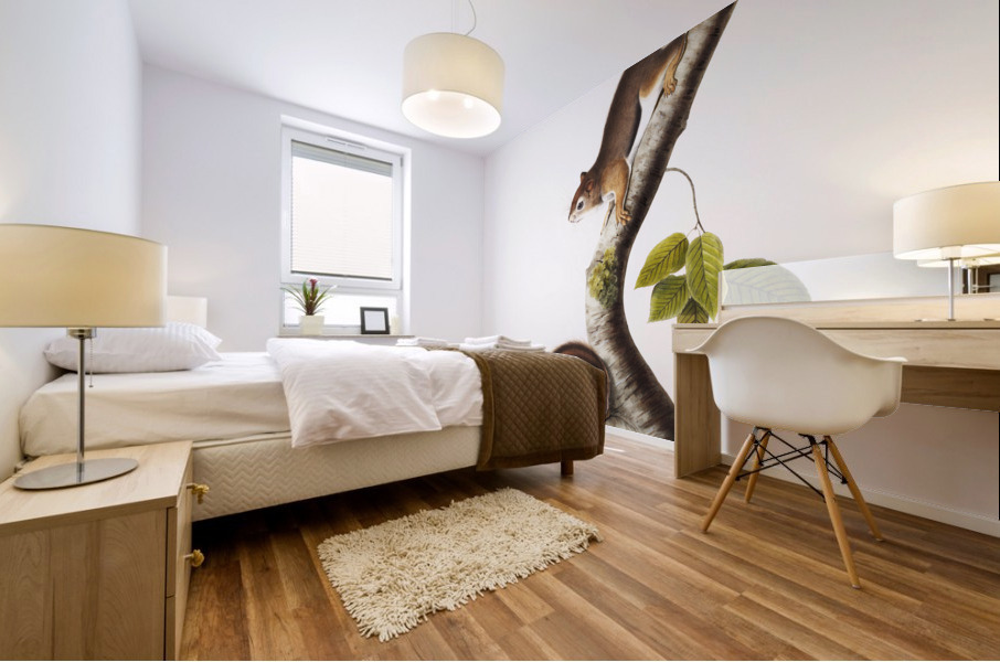 Chipping Squirrel Tamias Lysterii  Mural print