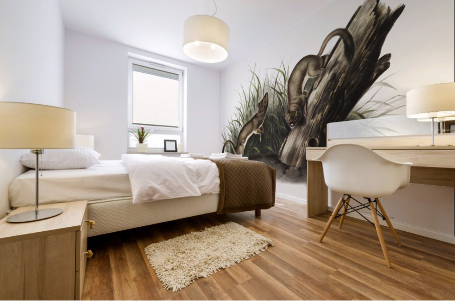 White Weasel Stoat Puttorius ermninea  Mural print