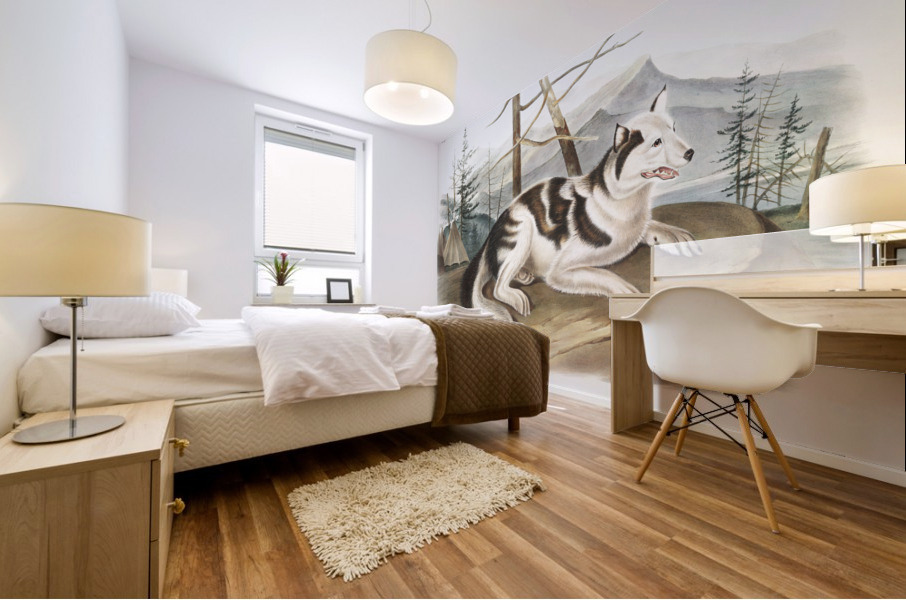 Hare-Indian Dog Canis familiaris  Mural print