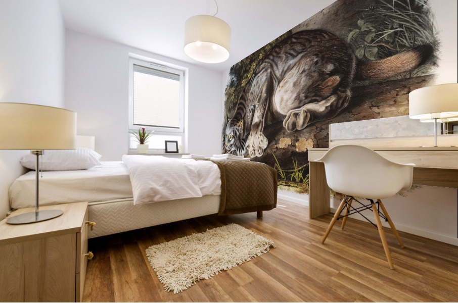 Canada Lynx Lynx Canadensis  Mural print