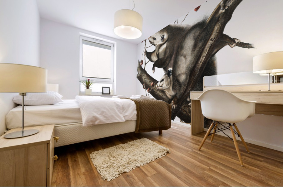 Virginian Opossum Didelphis Virginiana  Mural print