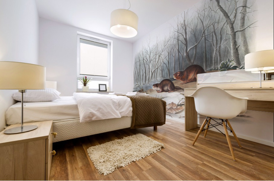 Meadow Mouse Arvicola richardsonii  Mural print