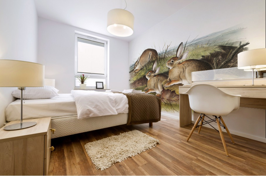 Warm Wood Hare Lepus artemesia  Mural print