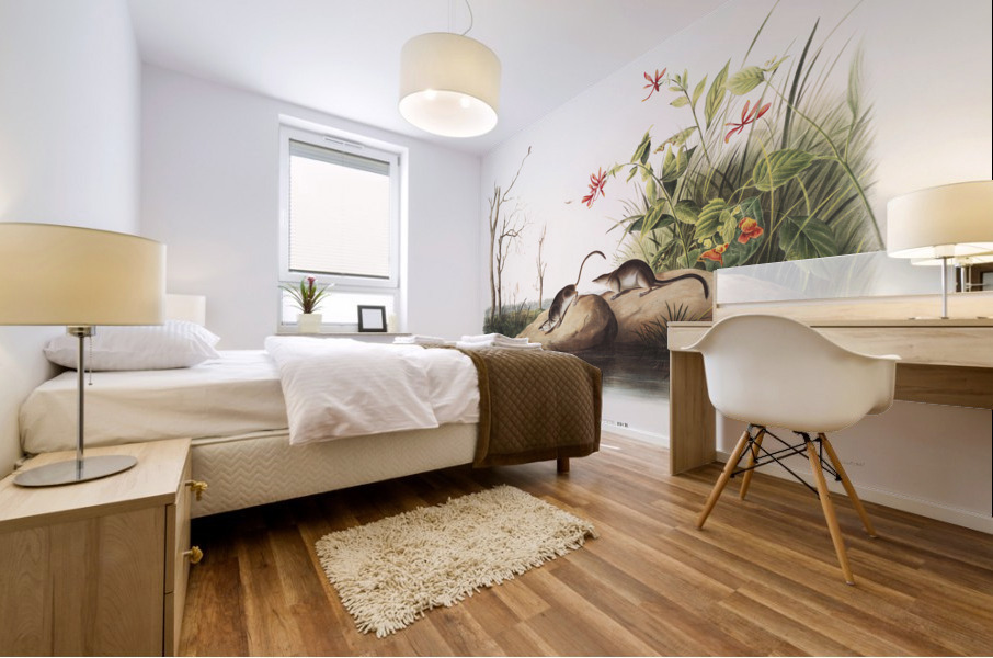 American Marsh Shrew Sorex palustris  Mural print