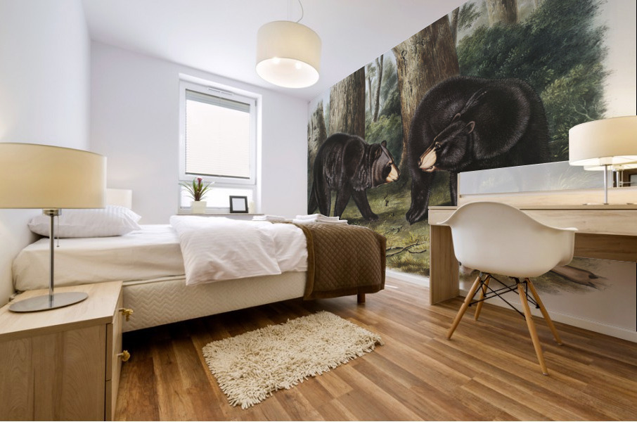 Rocky Mountain Hare Lepus Townsendii  Mural print