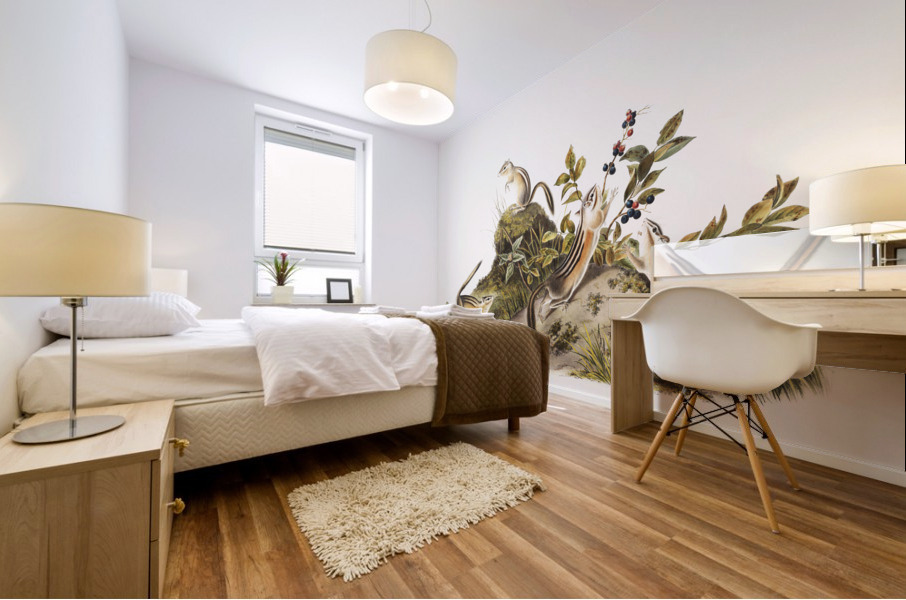 Four-striped Ground Squirrel Tamias quadrivitatus  Mural print