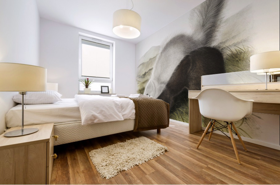 Texan Skunk Mephitis mesoleuca  Mural print