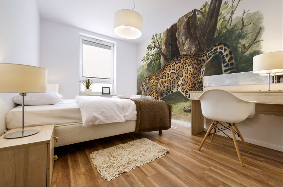 Jaguar Felis onca  Mural print