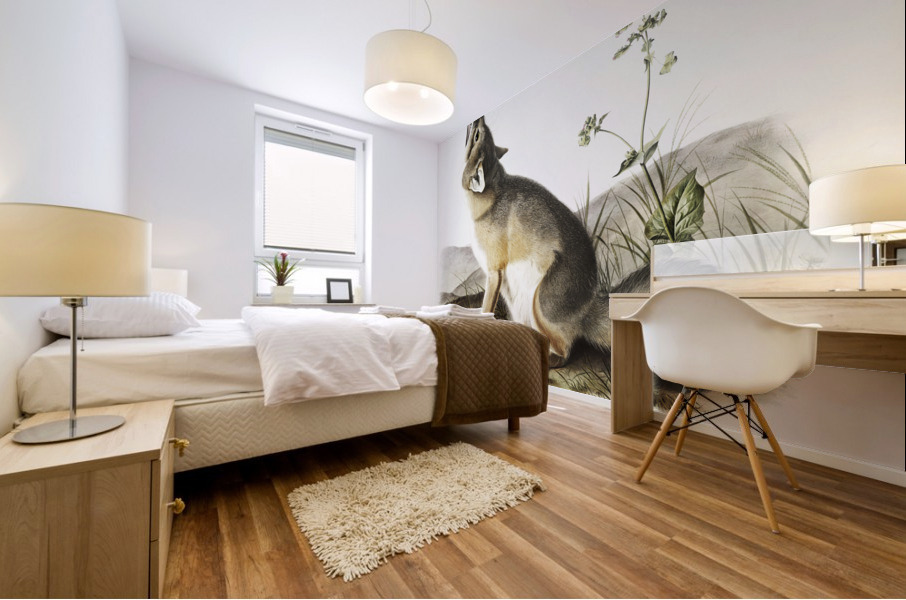 Swift Fox Vulpes velox  Mural print