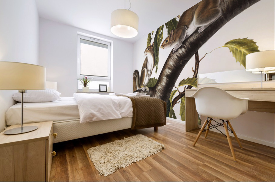 Carolina Grey Squirrel Sciurus Carolinensis  Mural print