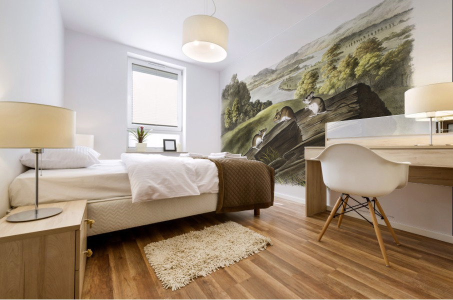 White-footed Mouse Mus leucopus  Mural print