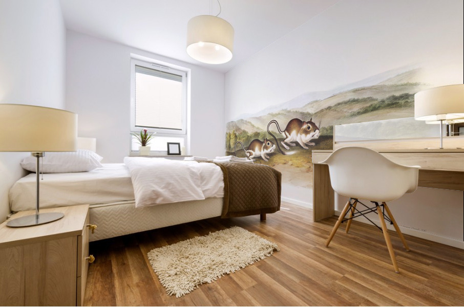 Pouched Jerboa Mouse Dipodomys Phillipsii  Mural print