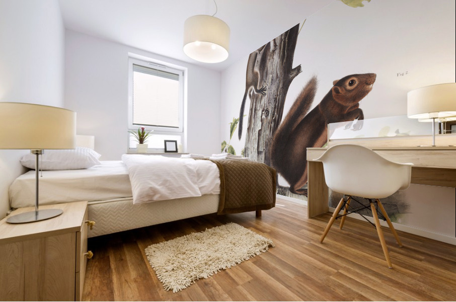 Pouched Jerboa Mouse Dipodomys Phillipsii  Mural print