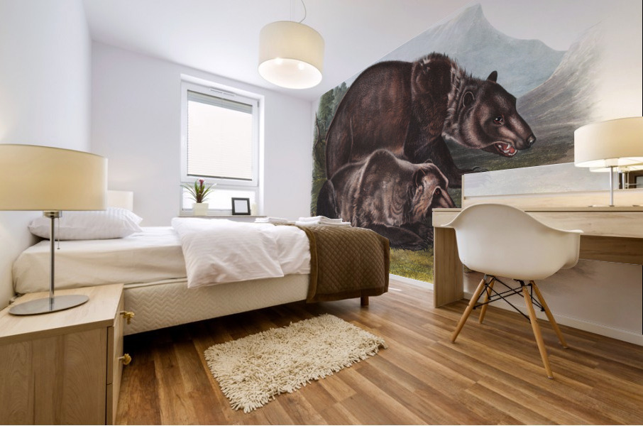 Pouched Jerboa Mouse Dipodomys Phillipsii  Mural print