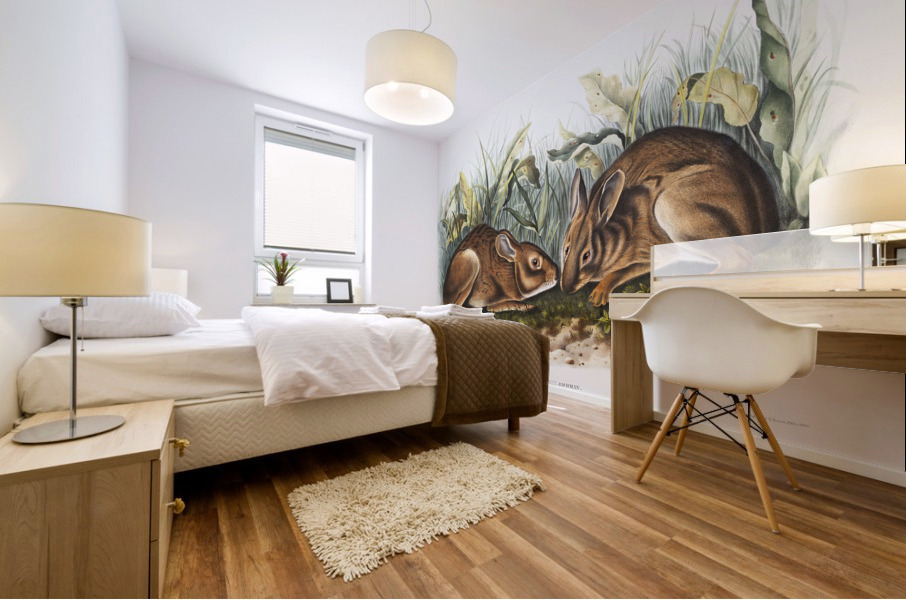 Marsh Hare Lepus palustris  Mural print