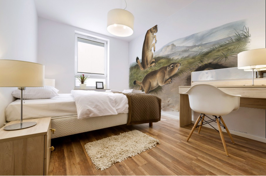 Marsh Hare Lepus palustris  Mural print