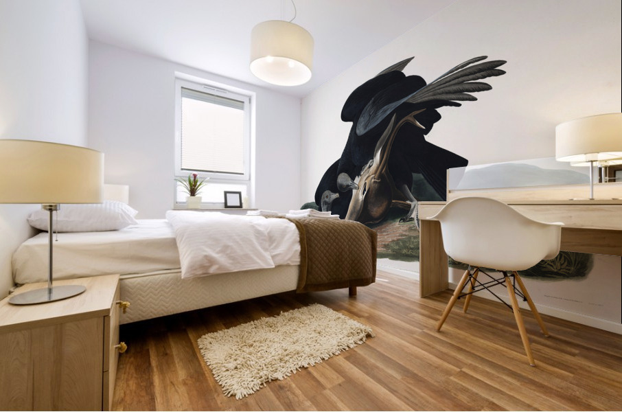 Black Vulture or Carrion Crow Mural print