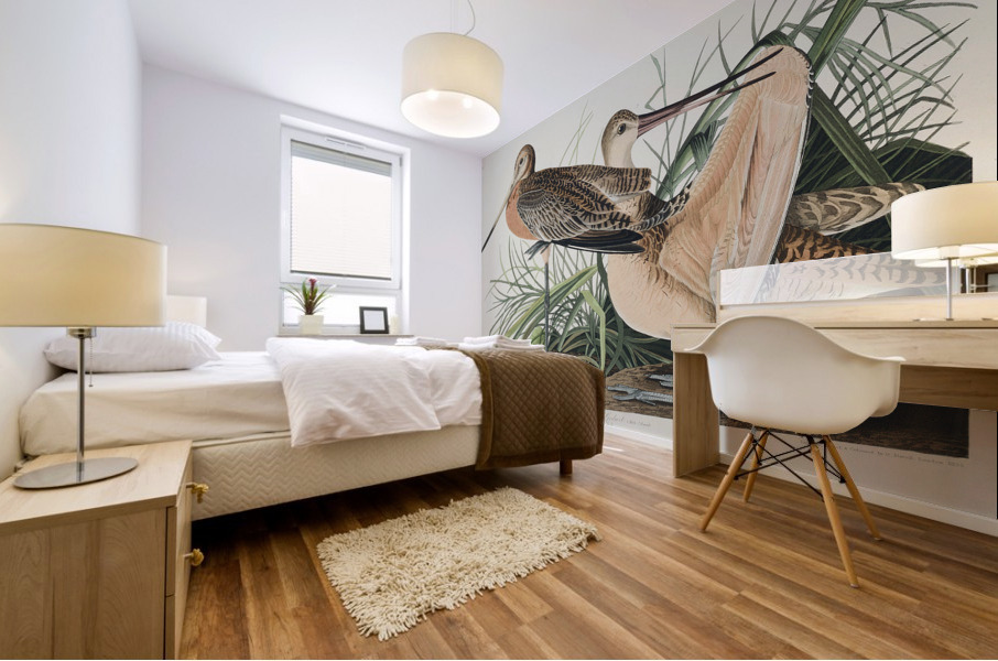 Great Marbled Godwit Mural print