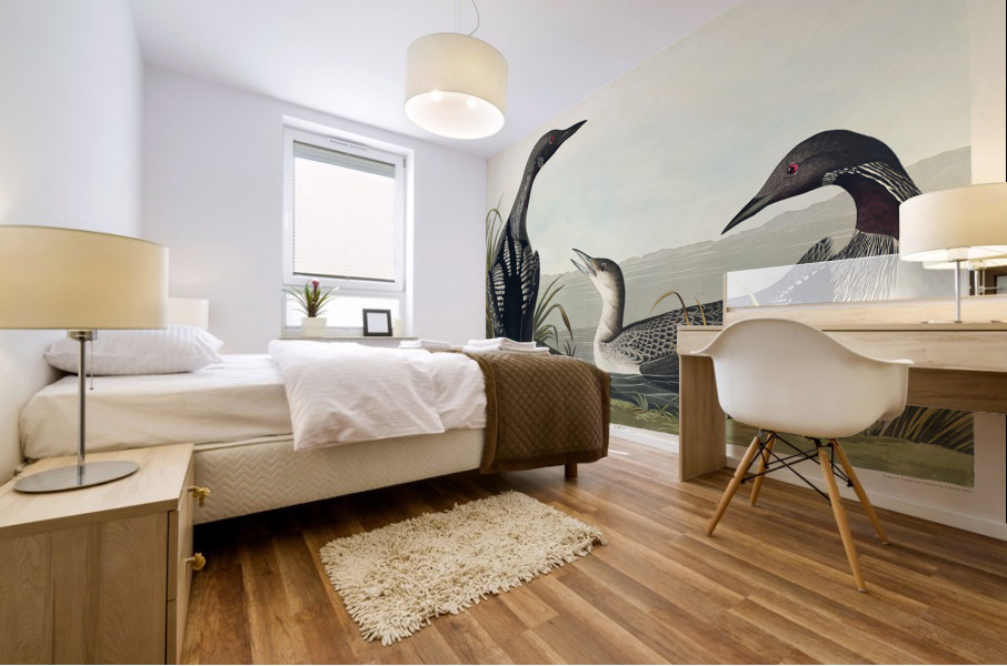 Black-Throated Diver Mural print