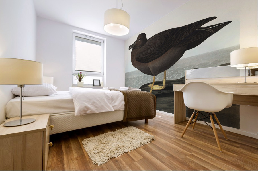 Dusky Albatros Mural print