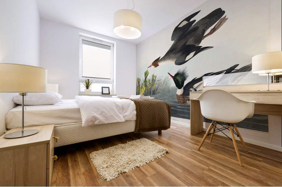 Red-breasted Merganser Mural print