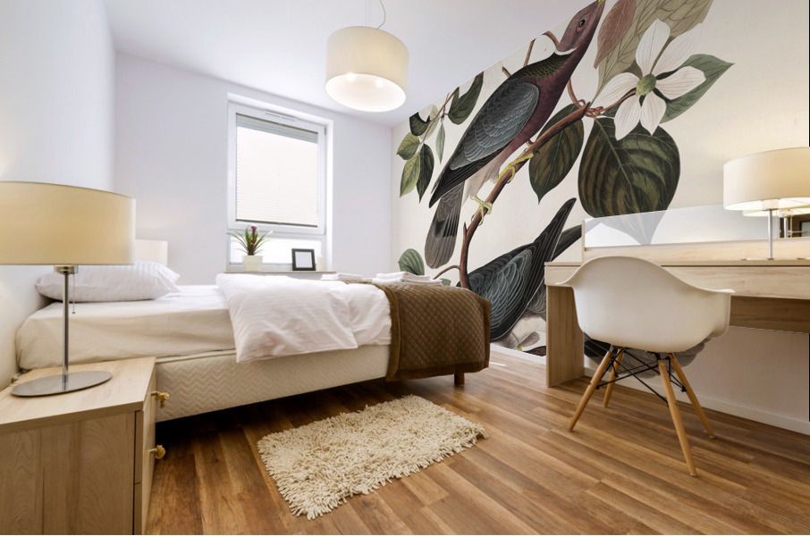 Band-tailed Pigeon Mural print